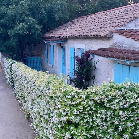 Vila Majda Tar-Vabriga Exteriör bild