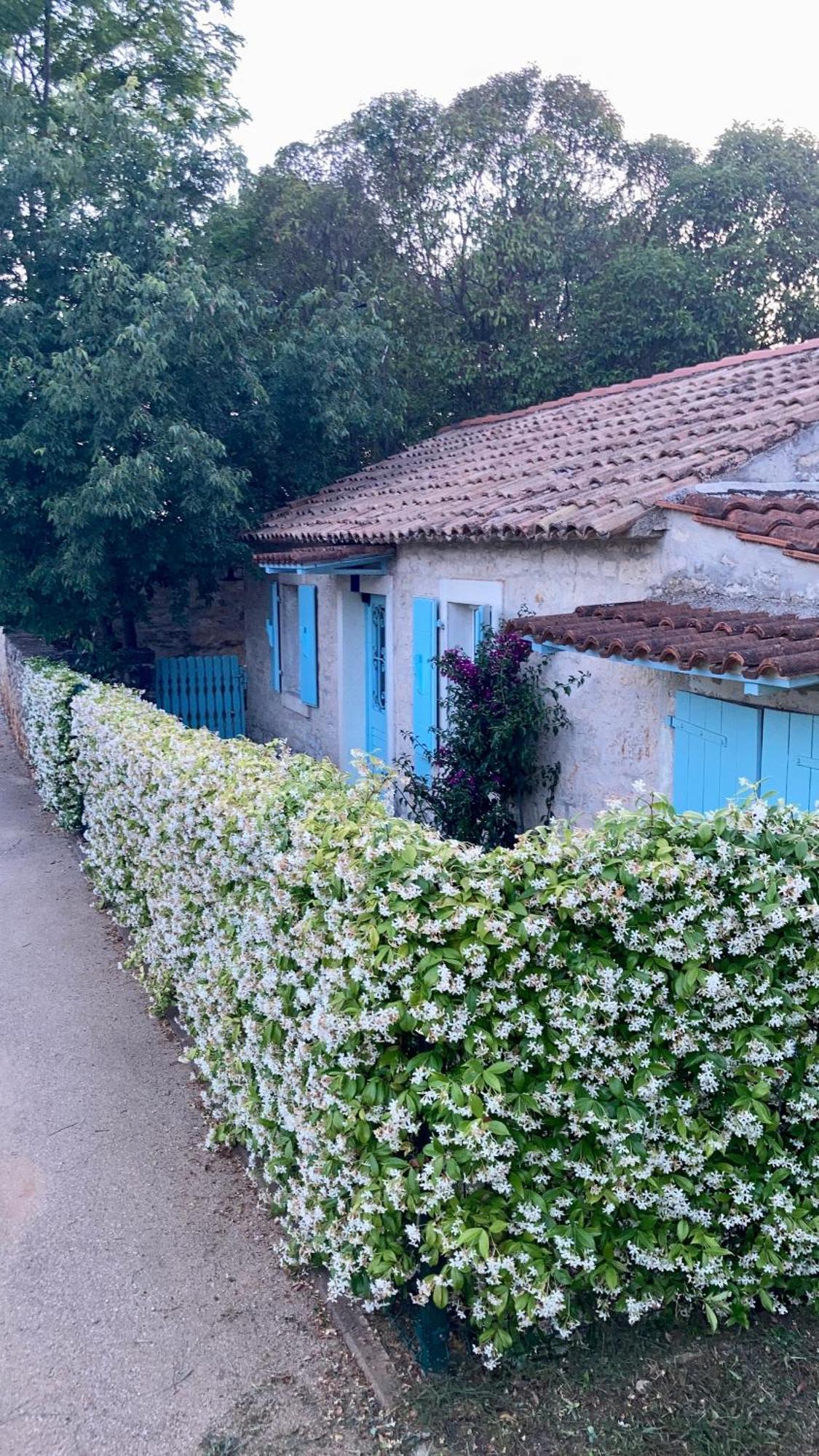 Vila Majda Tar-Vabriga Exteriör bild